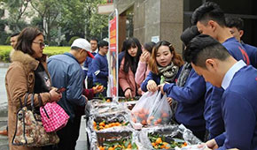 社區團購分化洗牌，團長先淪為“炮灰”